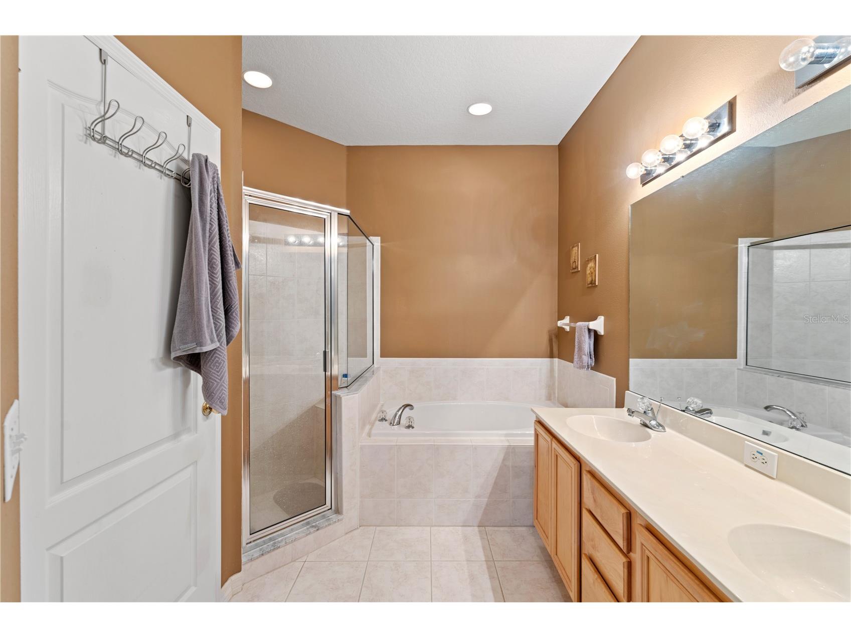 19182 Lake Audubon Drive Tampa FL 33647 TB8498013 image16