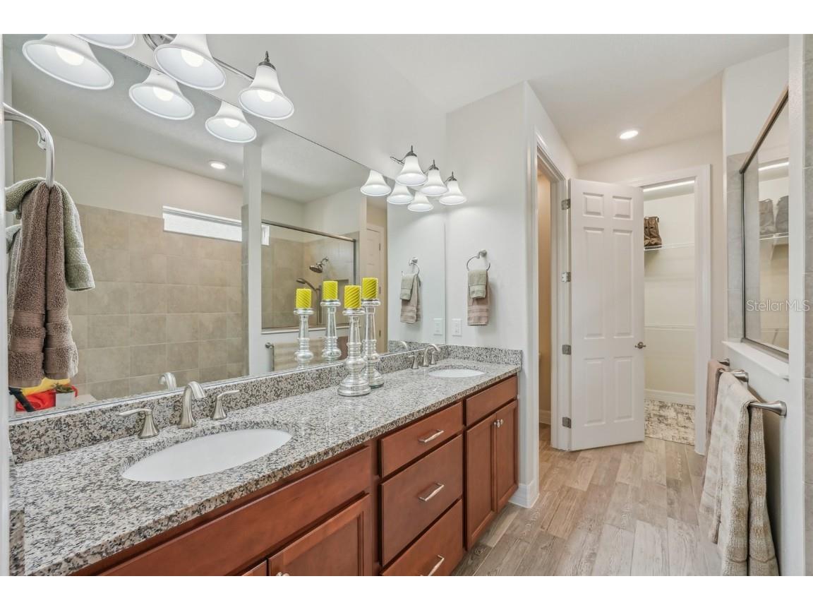 19183 Coastal Shore Terrace Land O Lakes FL 34638 TB8388841 image26