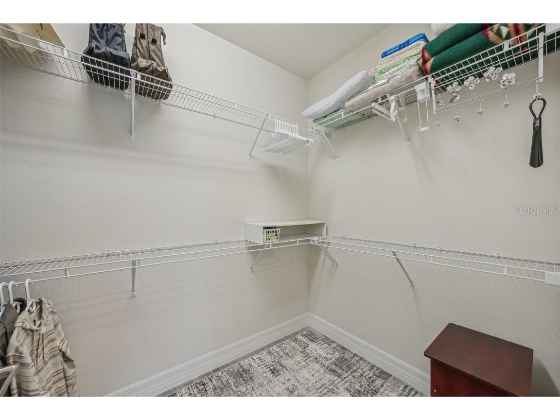 19183 Coastal Shore Terrace Land O Lakes FL 34638 TB8388841 image29