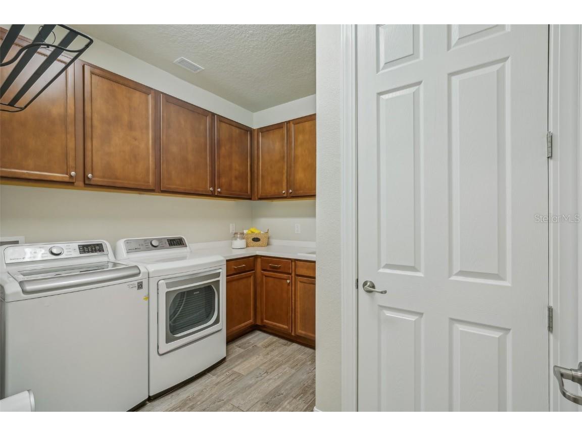 19183 Coastal Shore Terrace Land O Lakes FL 34638 TB8388841 image45