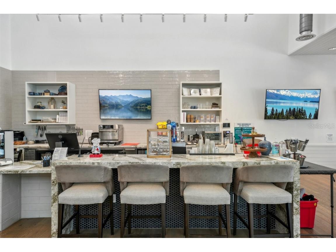 19183 Coastal Shore Terrace Land O Lakes FL 34638 TB8388841 image68