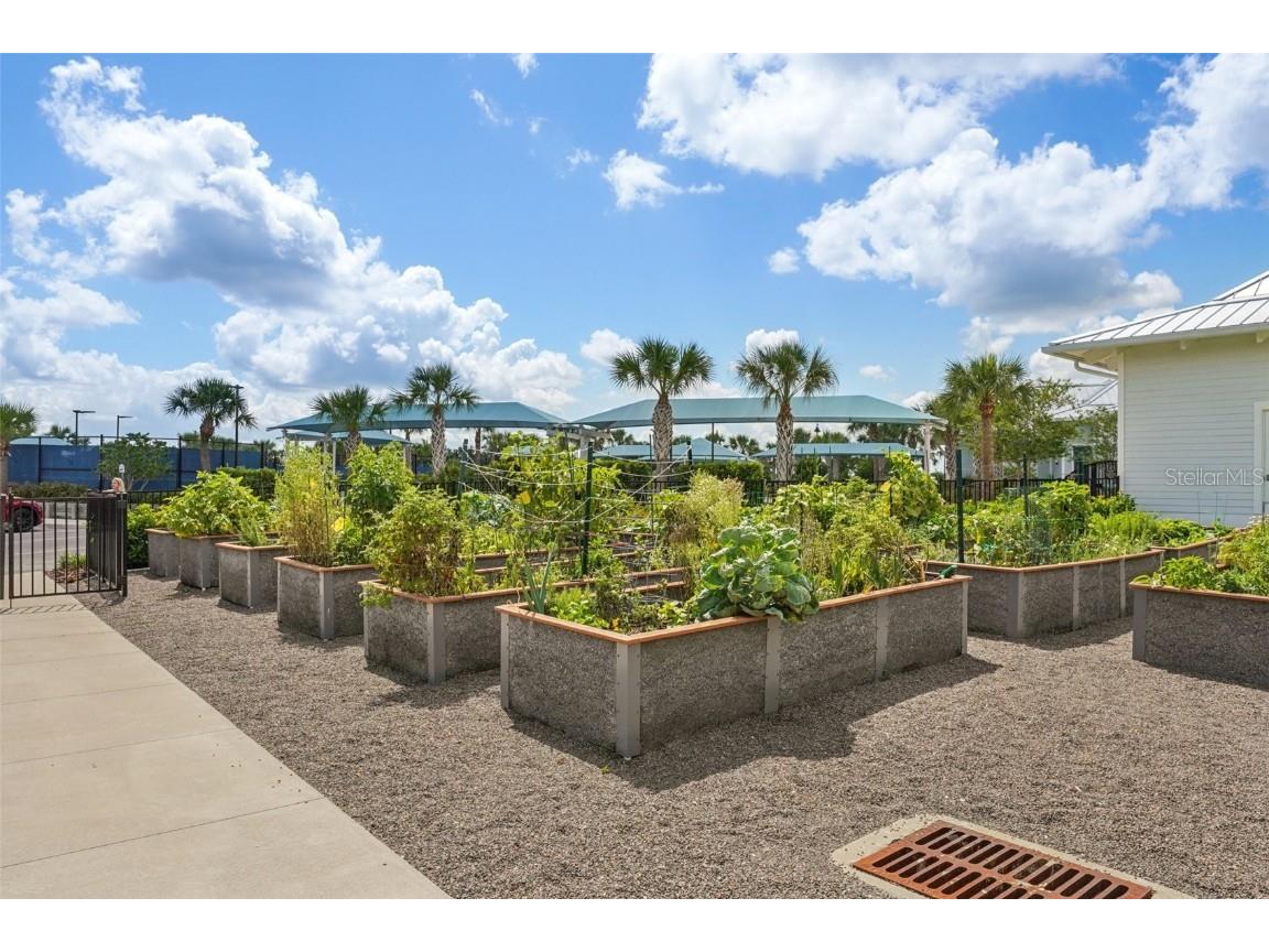 19183 Coastal Shore Terrace Land O Lakes FL 34638 TB8388841 image88