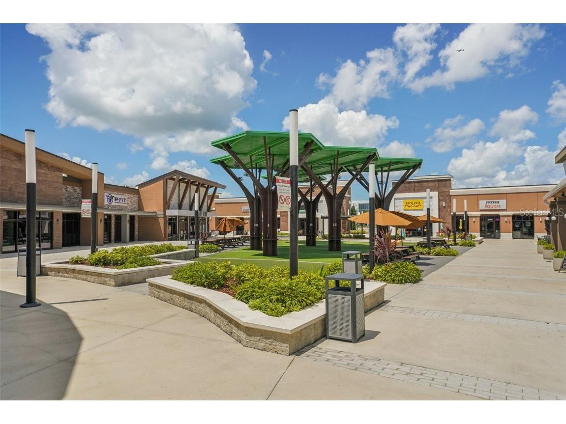 19183 Coastal Shore Terrace Land O Lakes FL 34638 TB8388841 image95