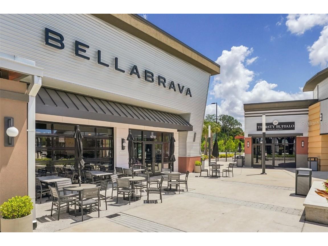 19183 Coastal Shore Terrace Land O Lakes FL 34638 TB8388841 image97