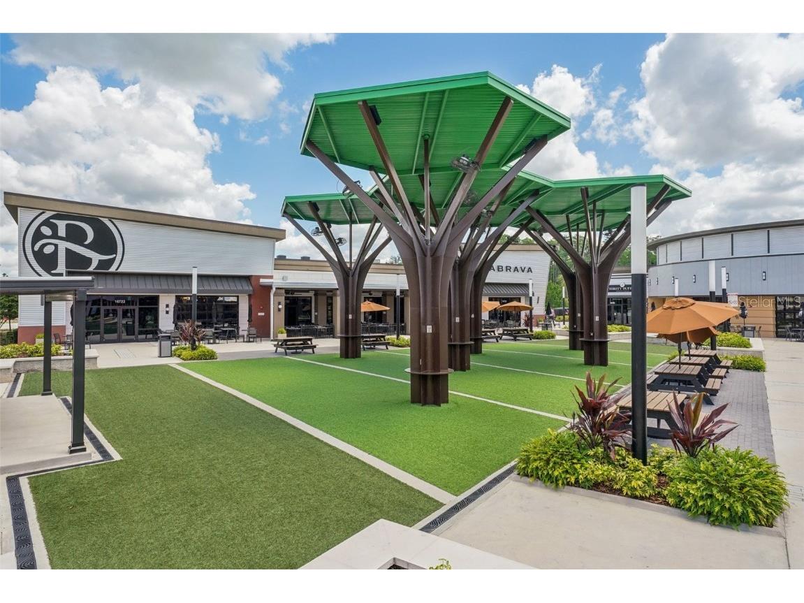 19183 Coastal Shore Terrace Land O Lakes FL 34638 TB8388841 image98