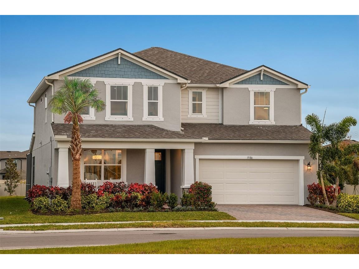 19186 Blue Pond Drive Lutz FL 33558 T3495018 image1