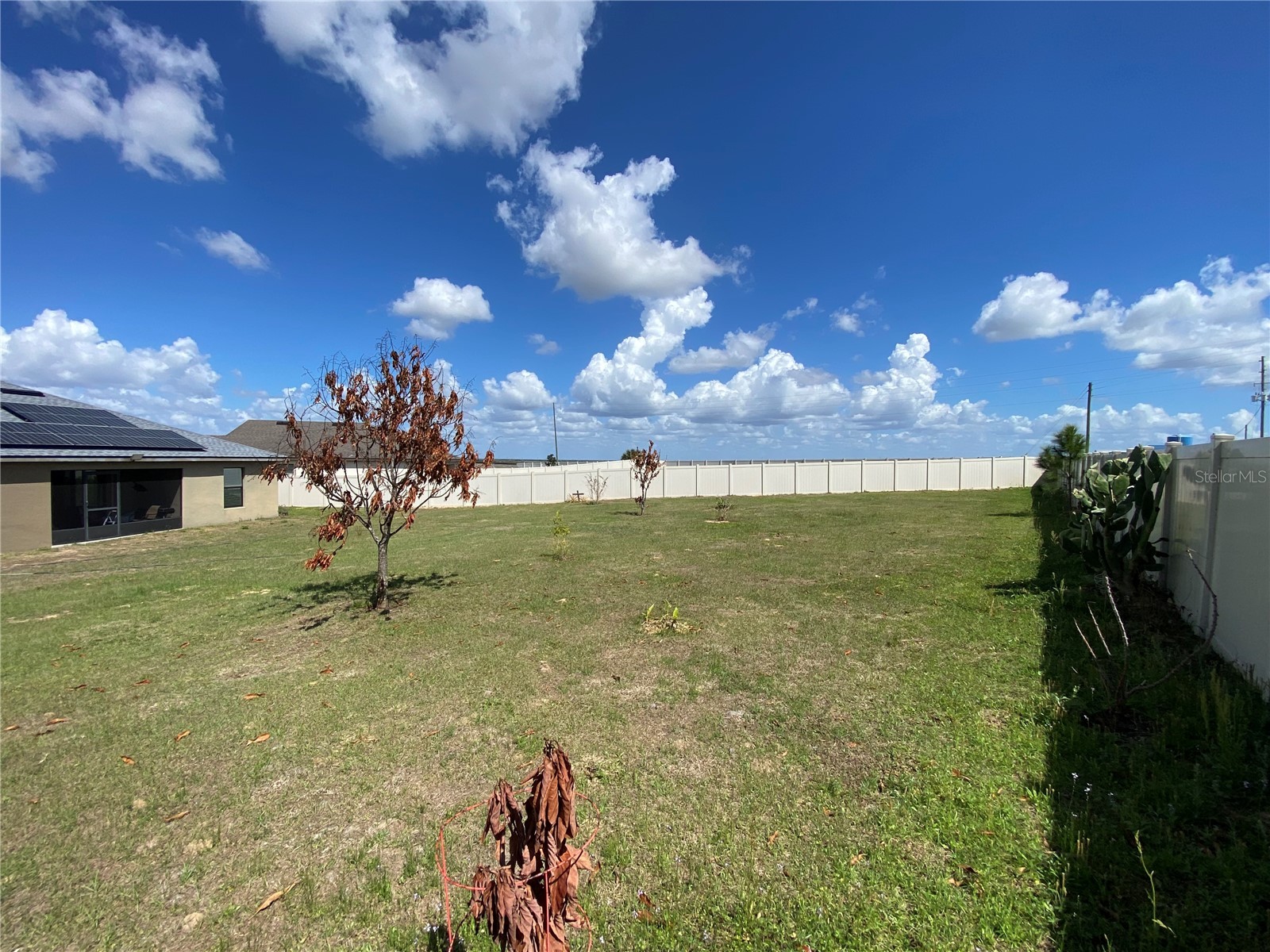 1919 Amber Sweet Circle Dundee FL 33838 P4938076 image58