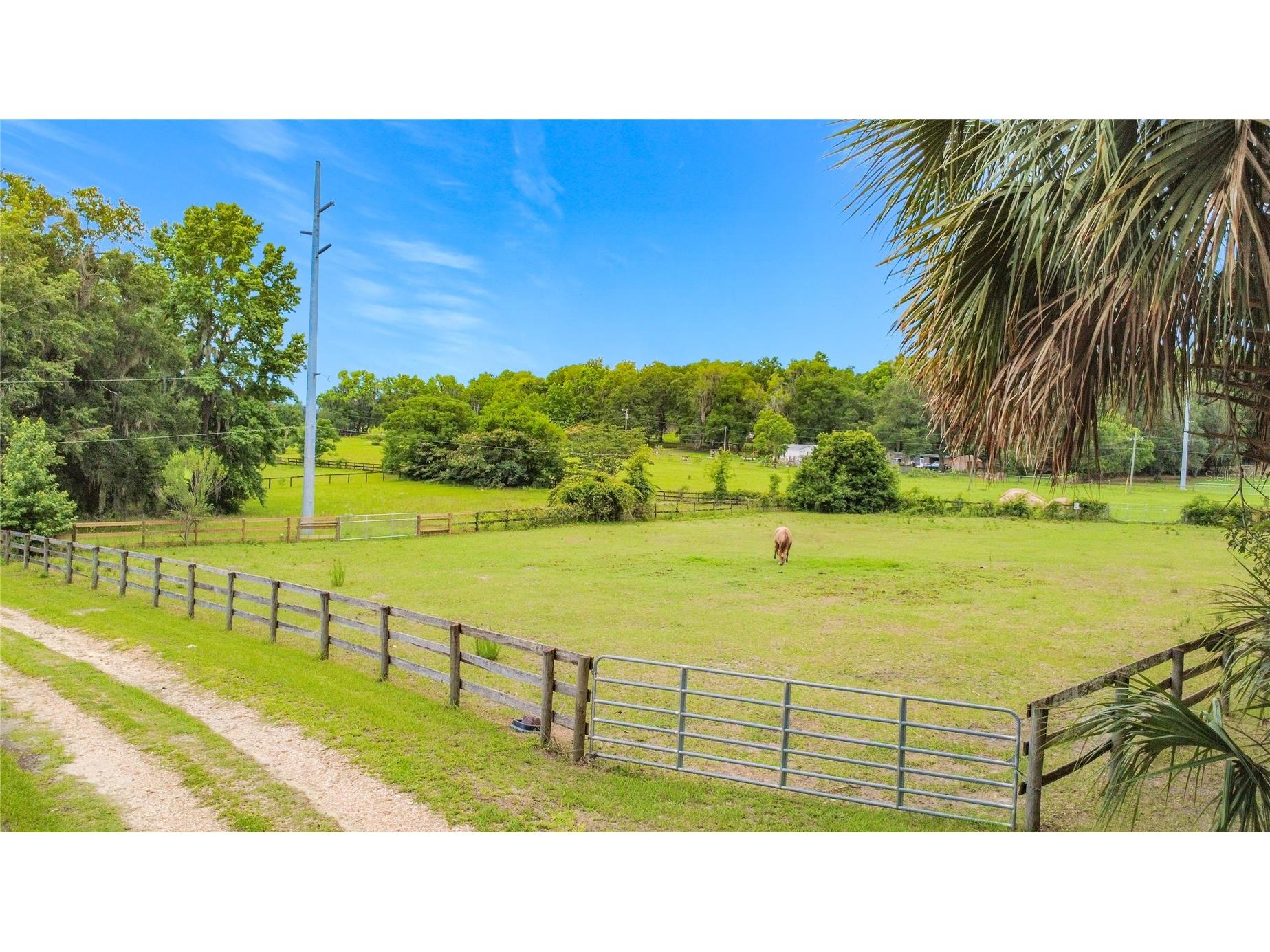 1919 NW 100th Street Ocala FL 34475 OM725689 image37