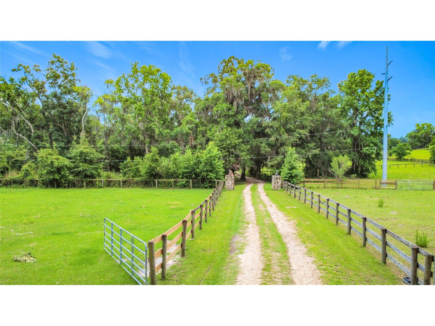 1919 NW 100th Street Ocala FL 34475 OM725689 image38