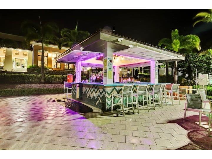 1919 Tropical Palms Circle Kissimmee FL 34747 O6388776 image59