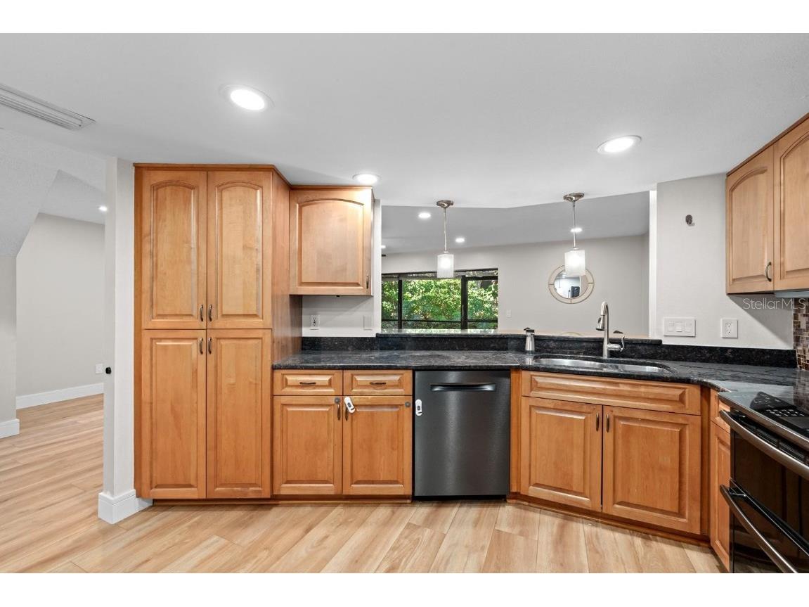 1919 Whispering Way Tarpon Springs FL 34689 TB8456779 image10