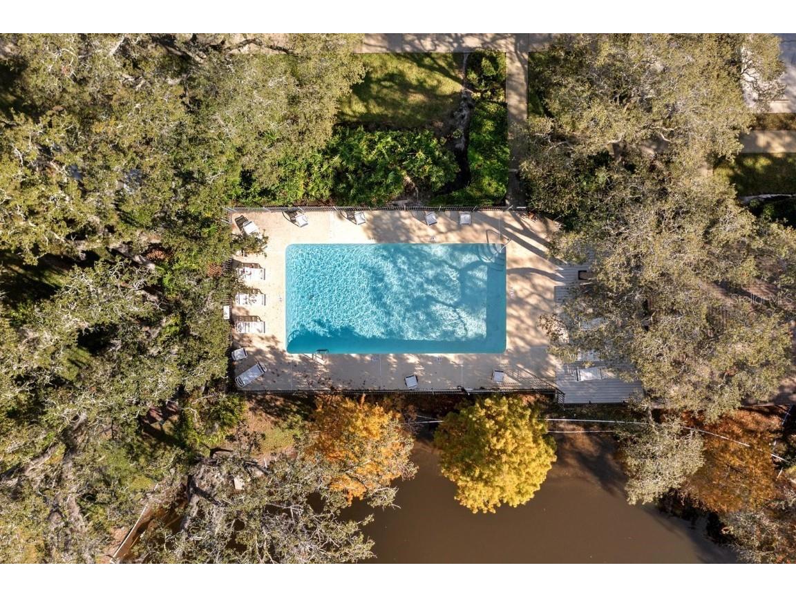 1919 Whispering Way Tarpon Springs FL 34689 TB8456779 image24