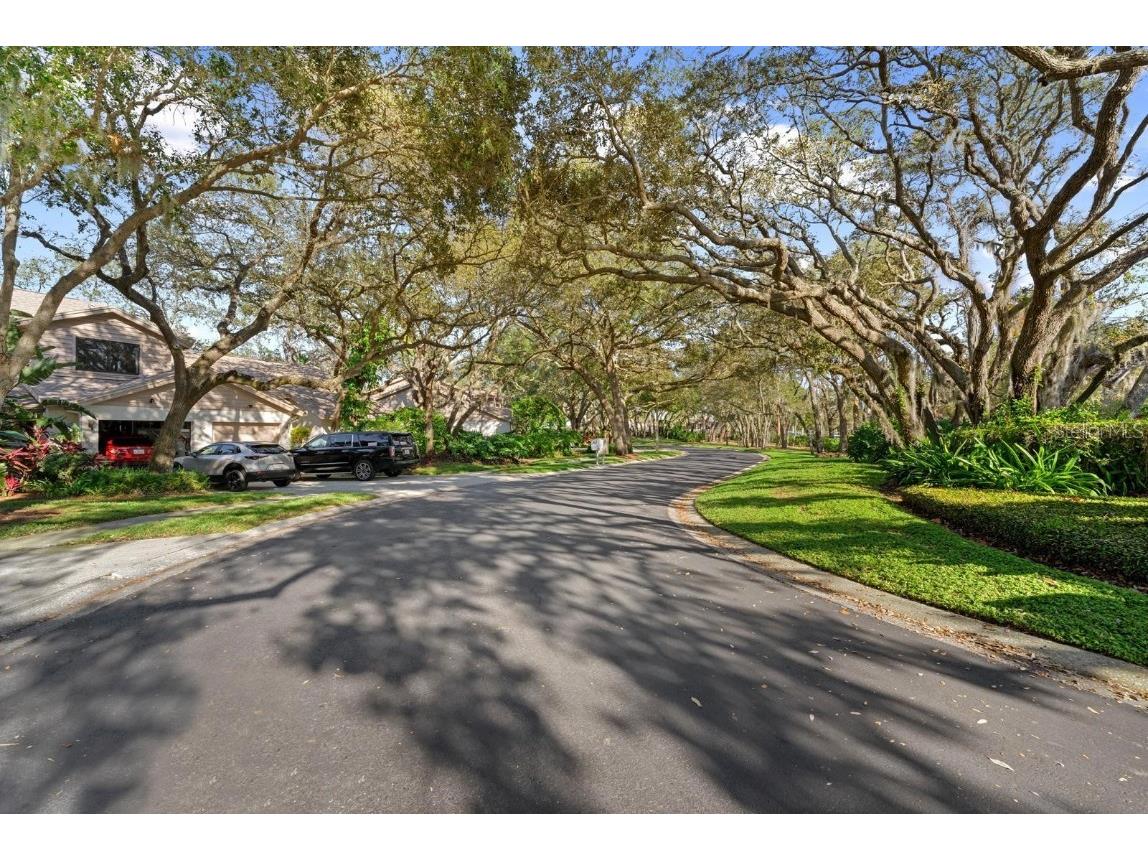 1919 Whispering Way Tarpon Springs FL 34689 TB8456779 image28