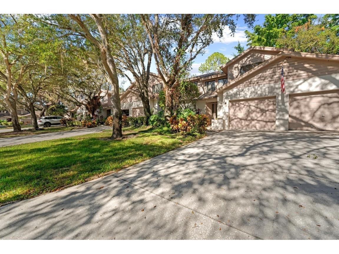 1919 Whispering Way Tarpon Springs FL 34689 TB8456779 image29