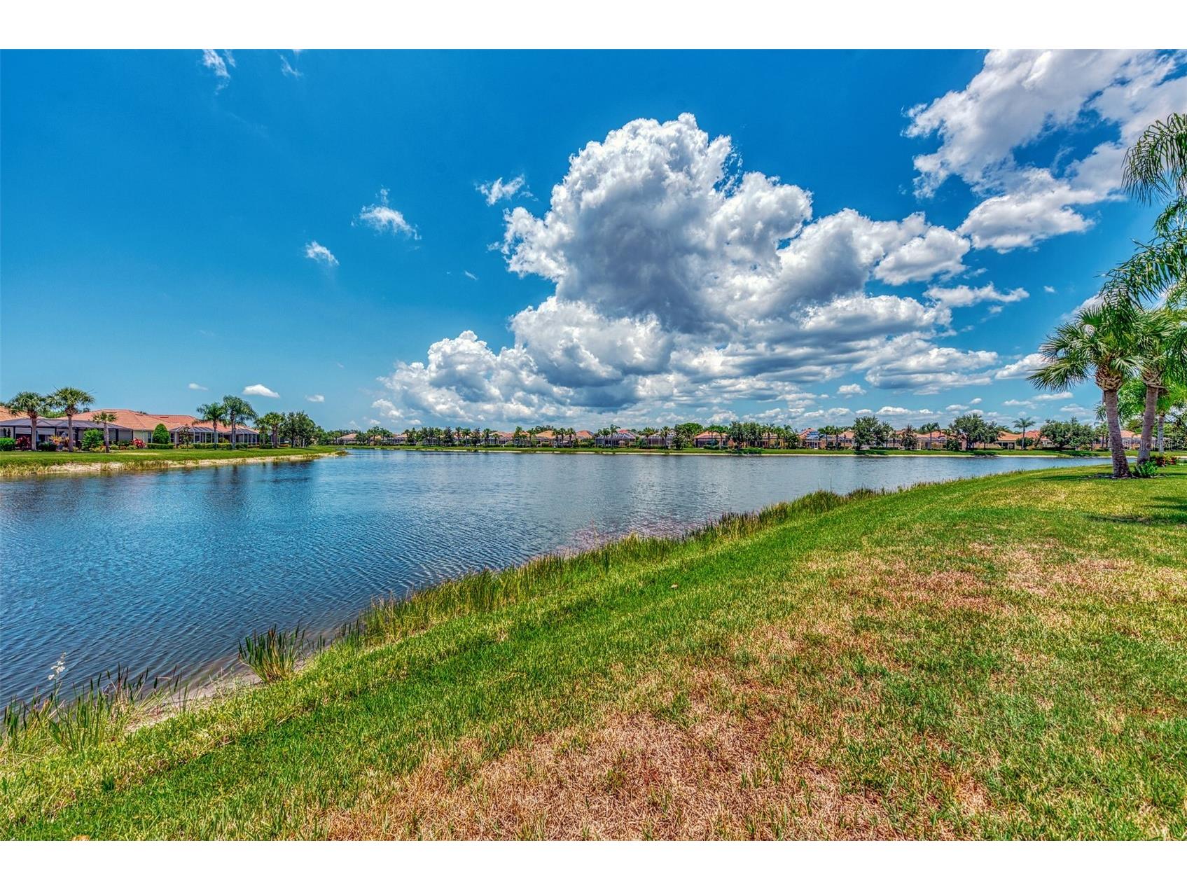 19191 Lappacio Street Venice FL 34293 A4693490 image41