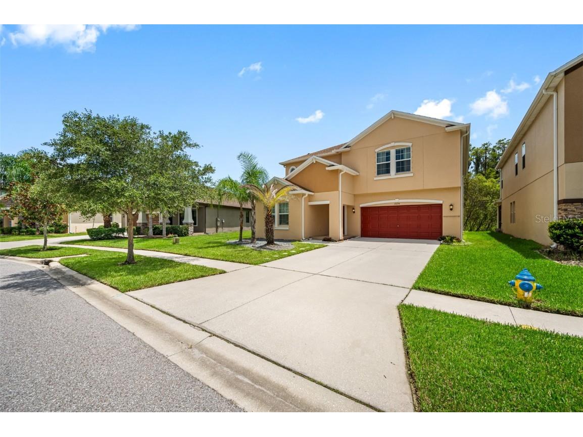 19194 Alexandrea Lee Court Land O Lakes FL 34638 T3465373 image1