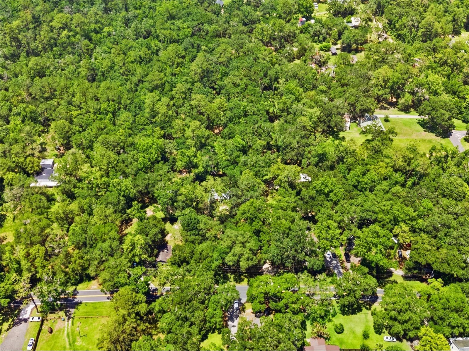 19199 Fort Dade Avenue Brooksville FL 34601 W7886083 image10