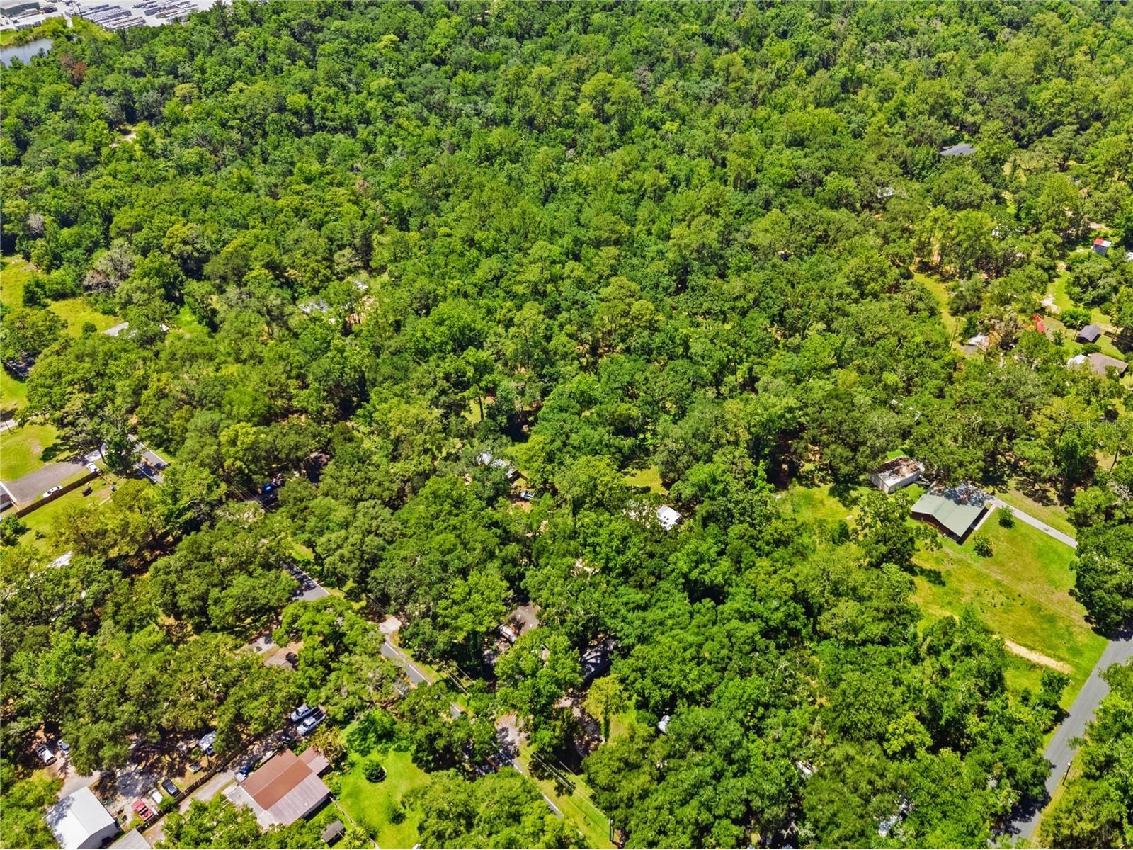 19199 Fort Dade Avenue Brooksville FL 34601 W7886083 image11