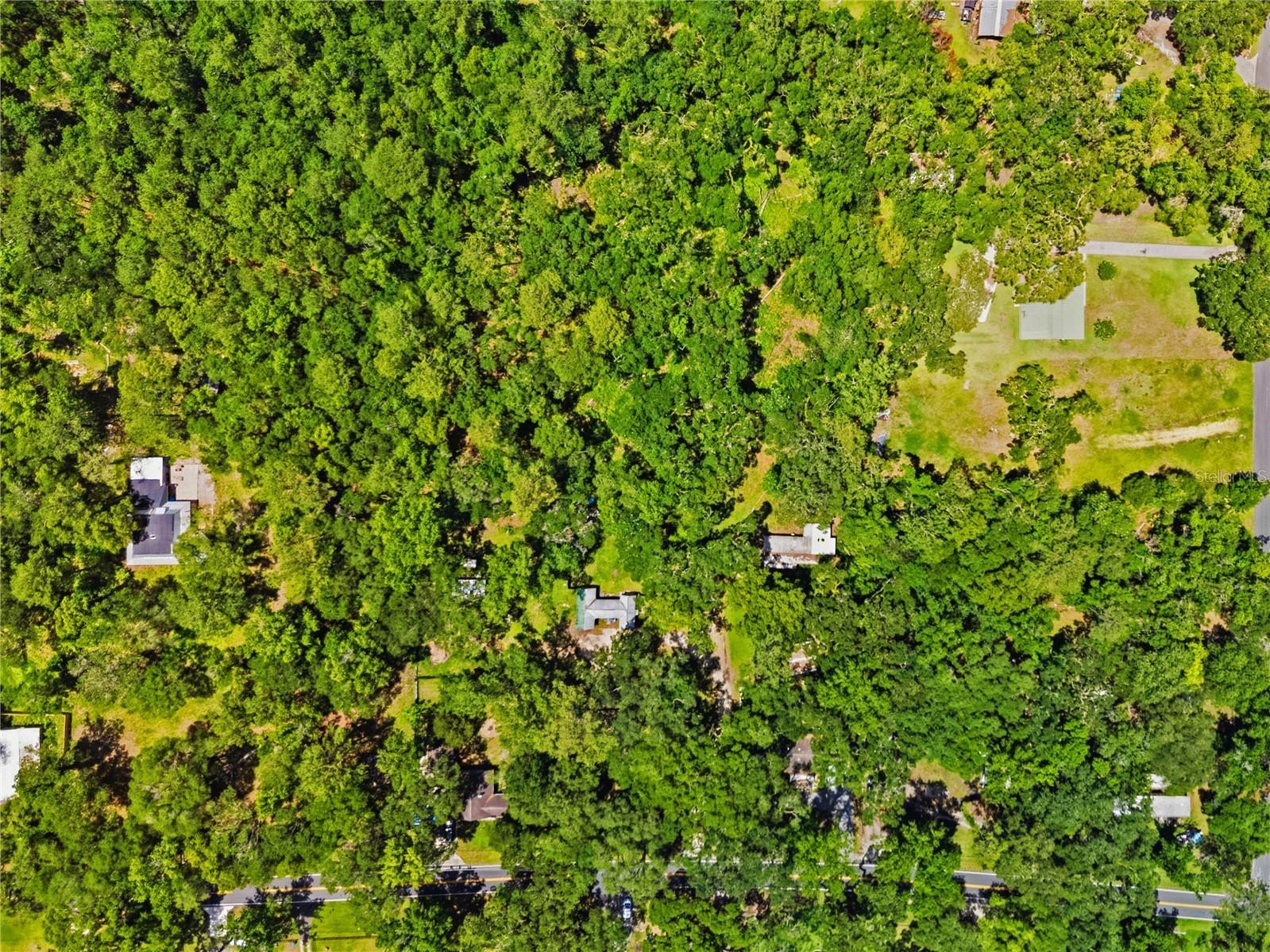 19199 Fort Dade Avenue Brooksville FL 34601 W7886083 image13