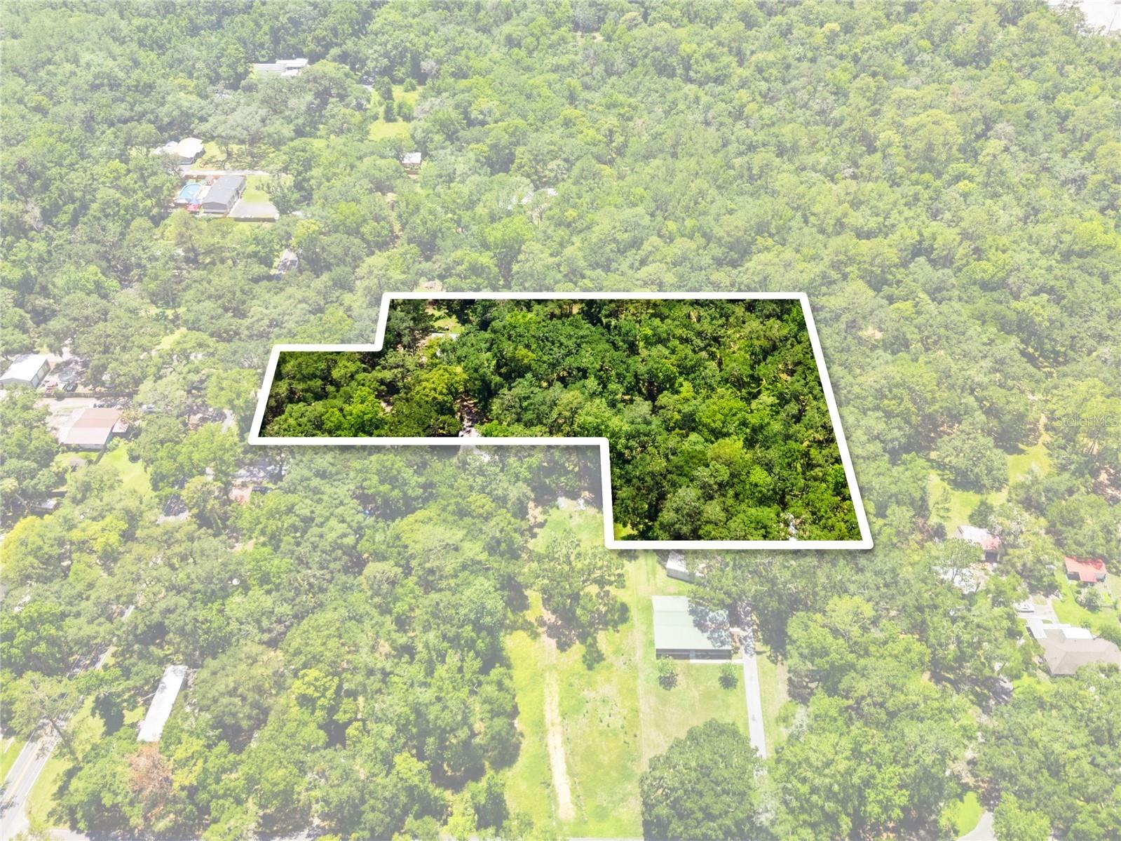 19199 Fort Dade Avenue Brooksville FL 34601 W7886083 image7