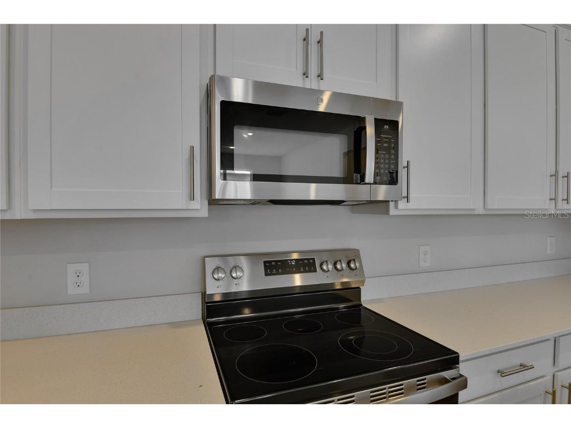 192 Flag Lilly Lane Umatilla FL 32784 S5112829 image5