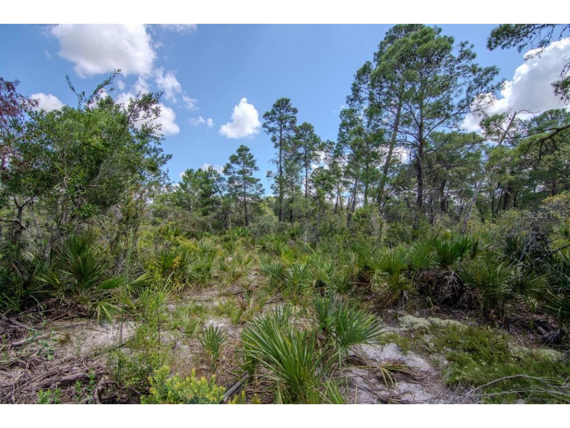 192 Freedom Drive Frostproof FL 33843 A4665936 image44