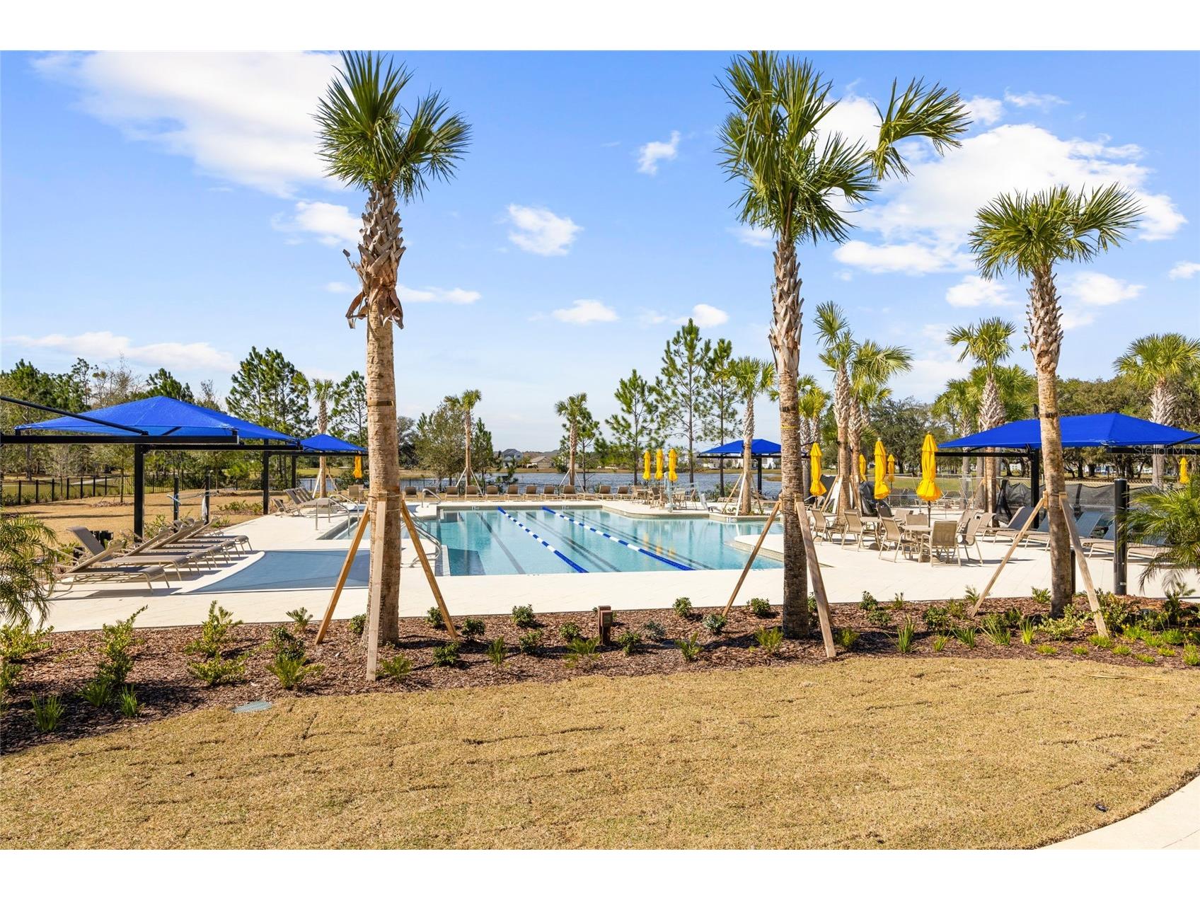 192 Goldenrod Drive Saint Augustine FL 32092 FC318813 image62