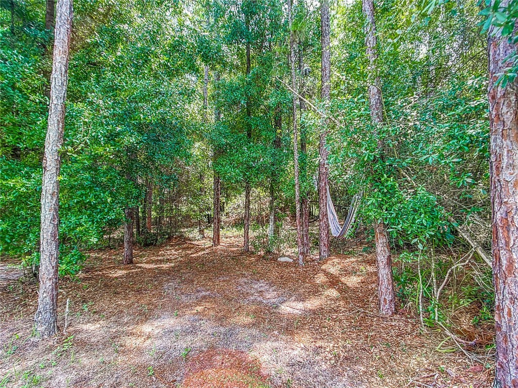 192 Hickory Course Loop Ocala FL 34472 O6232702 image34