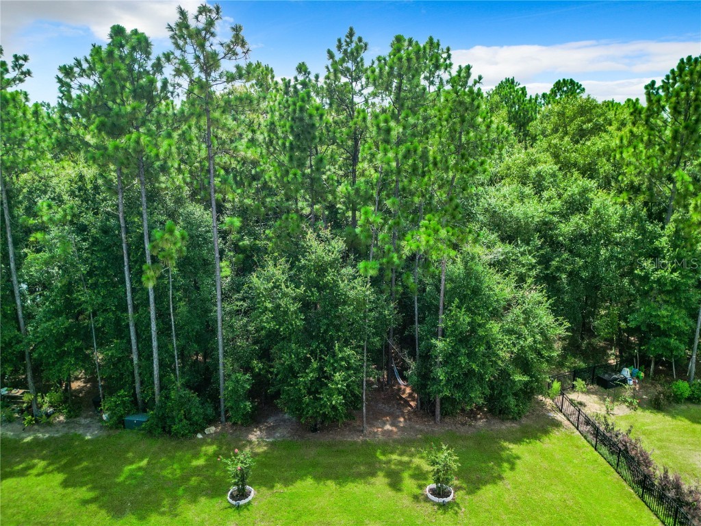 192 Hickory Course Loop Ocala FL 34472 O6232702 image35