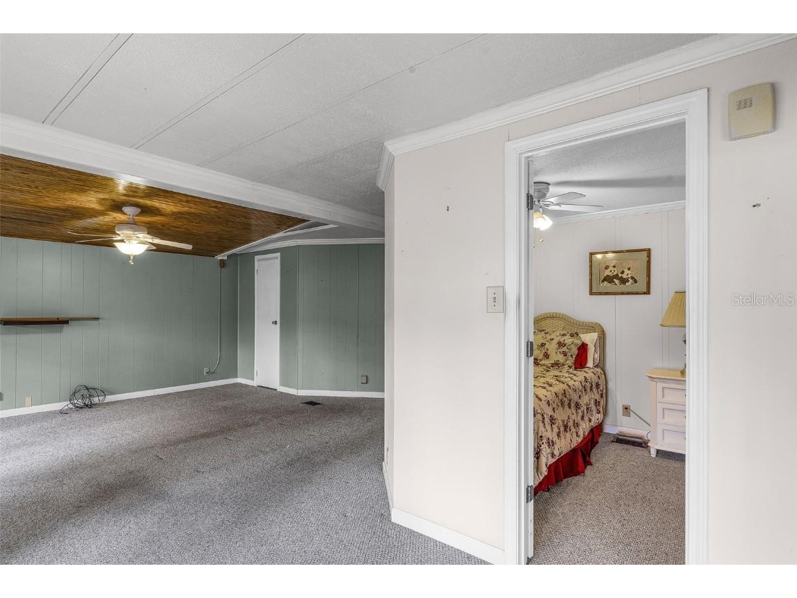 192 Palm Meadows Drive Eustis FL 32726 - Trout Lake O6341551 image19