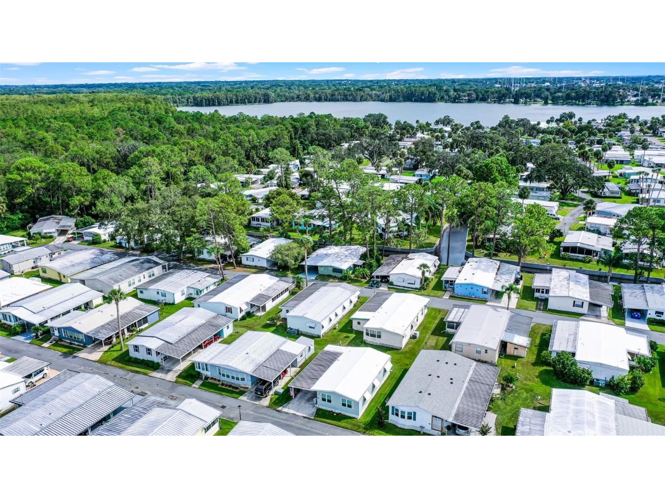 192 Palm Meadows Drive Eustis FL 32726 - Trout Lake O6341551 image49