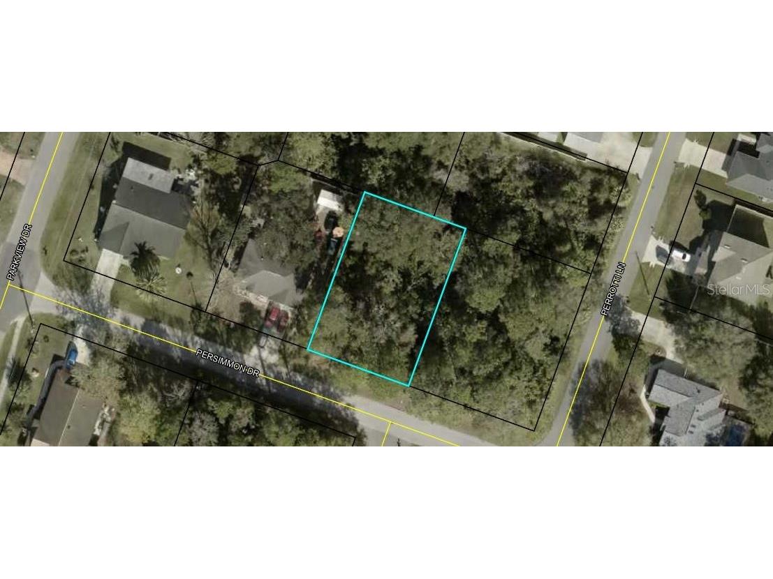 192 Persimmon Drive Palm Coast FL 32164 FC312402 image1