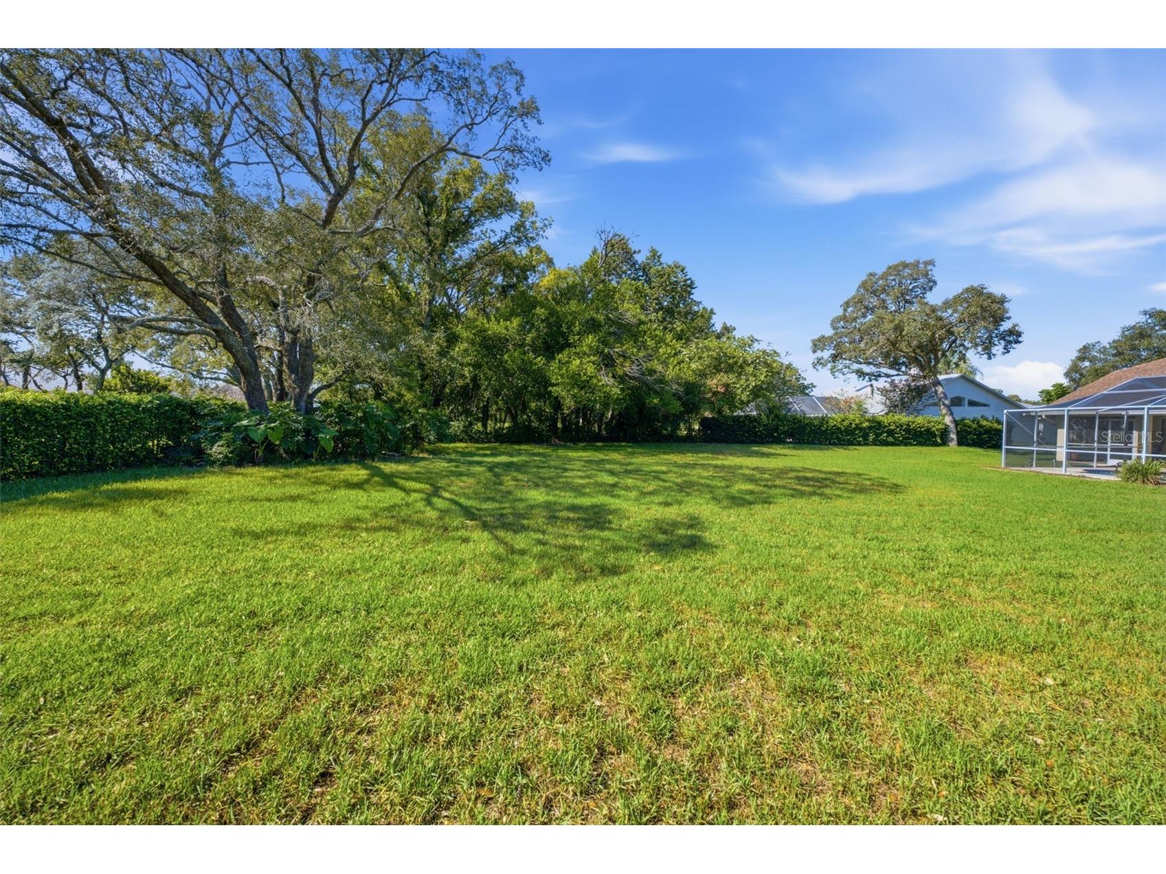 192 Preston Hollow Drive Spring Hill FL 34609 W7887171 image11