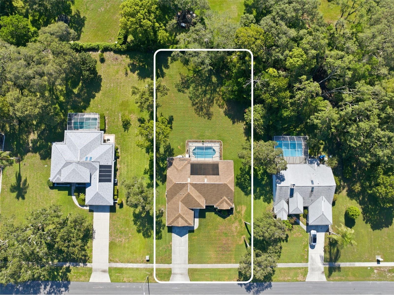 192 Preston Hollow Drive Spring Hill FL 34609 W7887171 image5