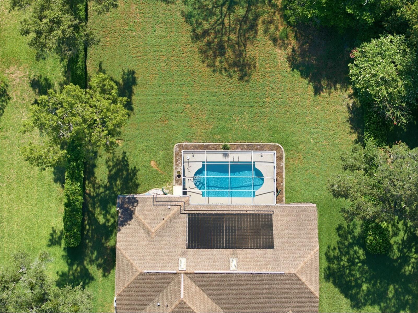 192 Preston Hollow Drive Spring Hill FL 34609 W7887171 image6