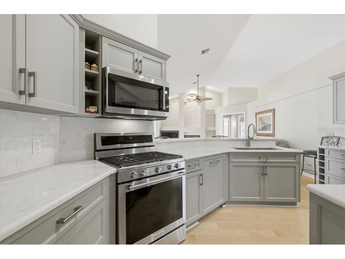 192 Sage Circle Crystal Beach FL 34681 TB8452474 image26