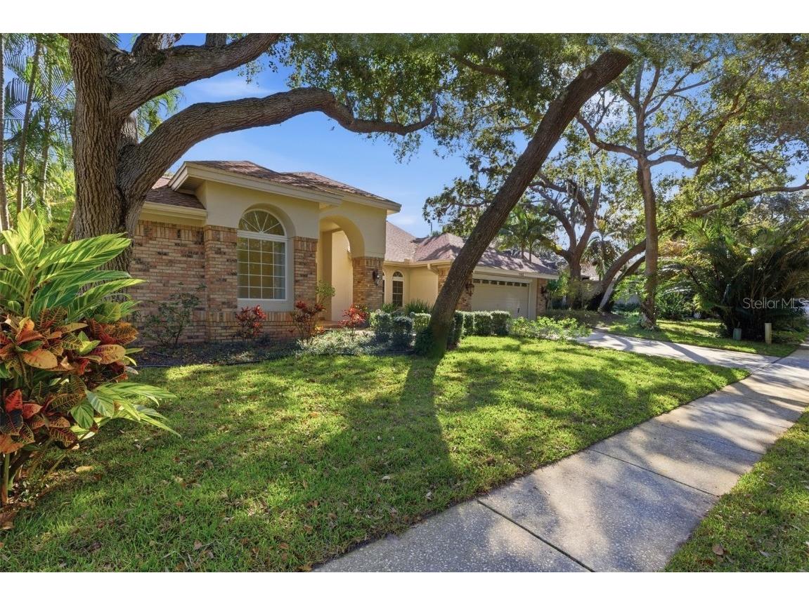 192 Sage Circle Crystal Beach FL 34681 TB8452474 image7