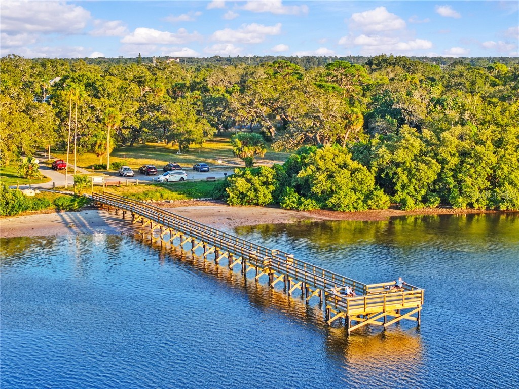 192 Sage Circle Crystal Beach FL 34681 TB8452474 image79