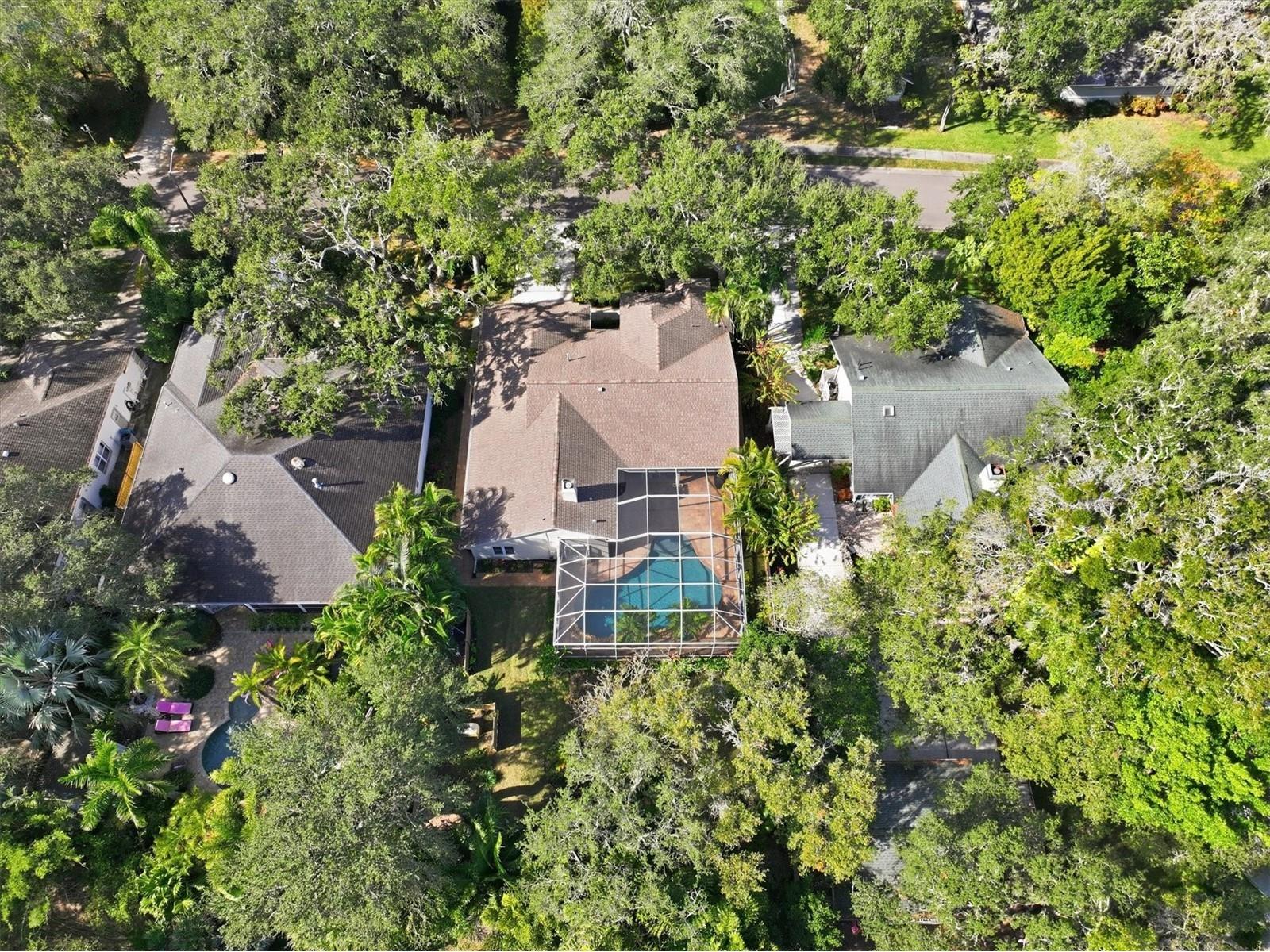 192 Sage Circle Crystal Beach FL 34681 TB8452474 image83
