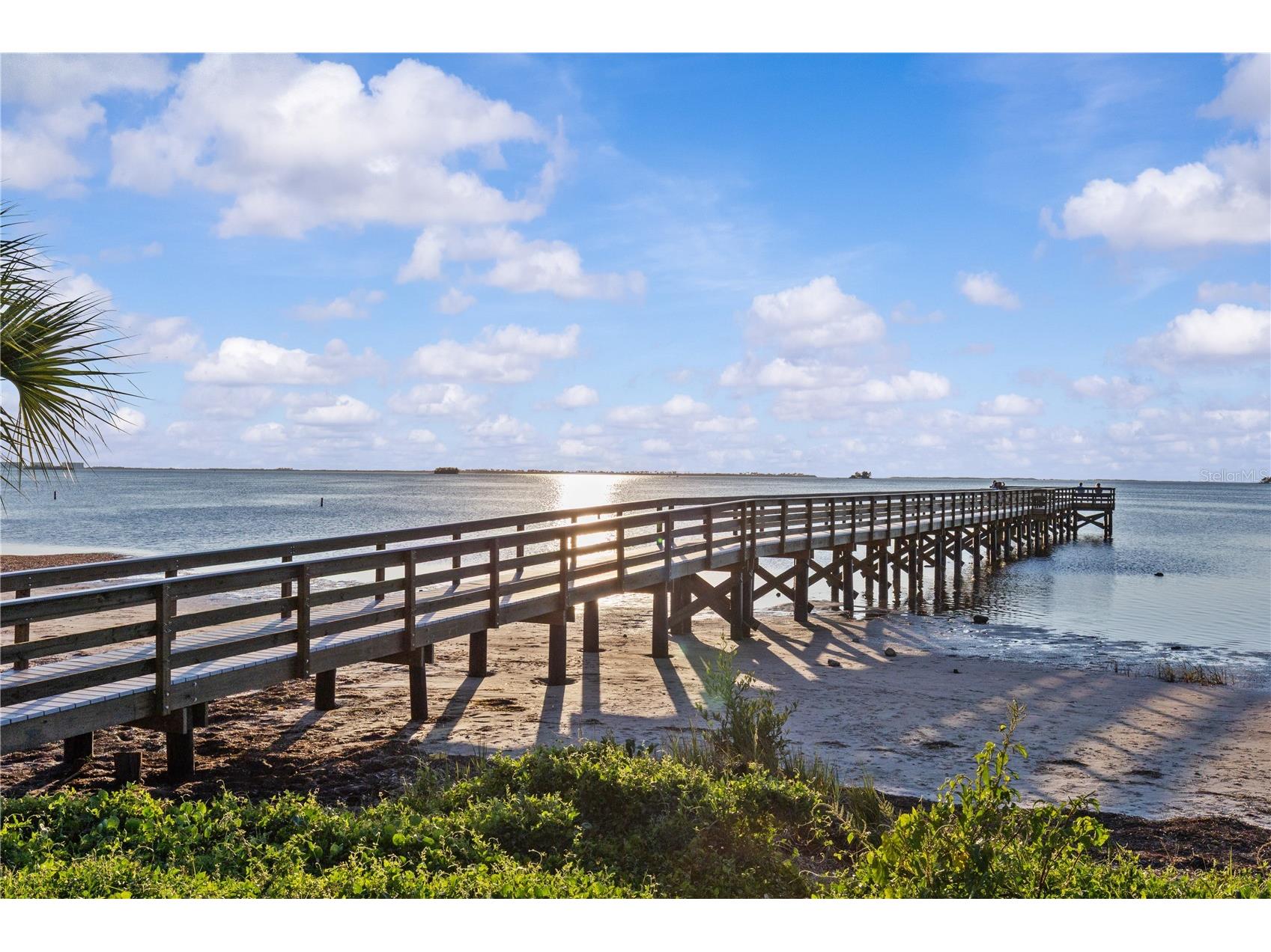 192 Sage Circle Crystal Beach FL 34681 TB8452474 image92