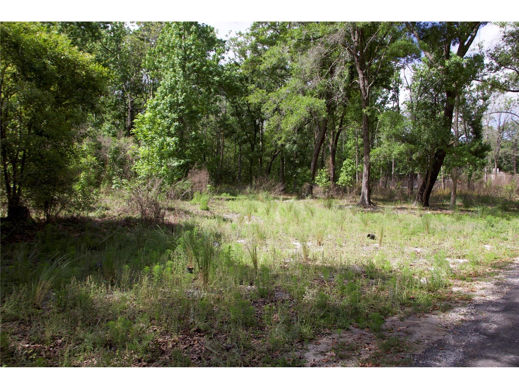 1920 10th Street Orlando FL 32820 O6396339 image12