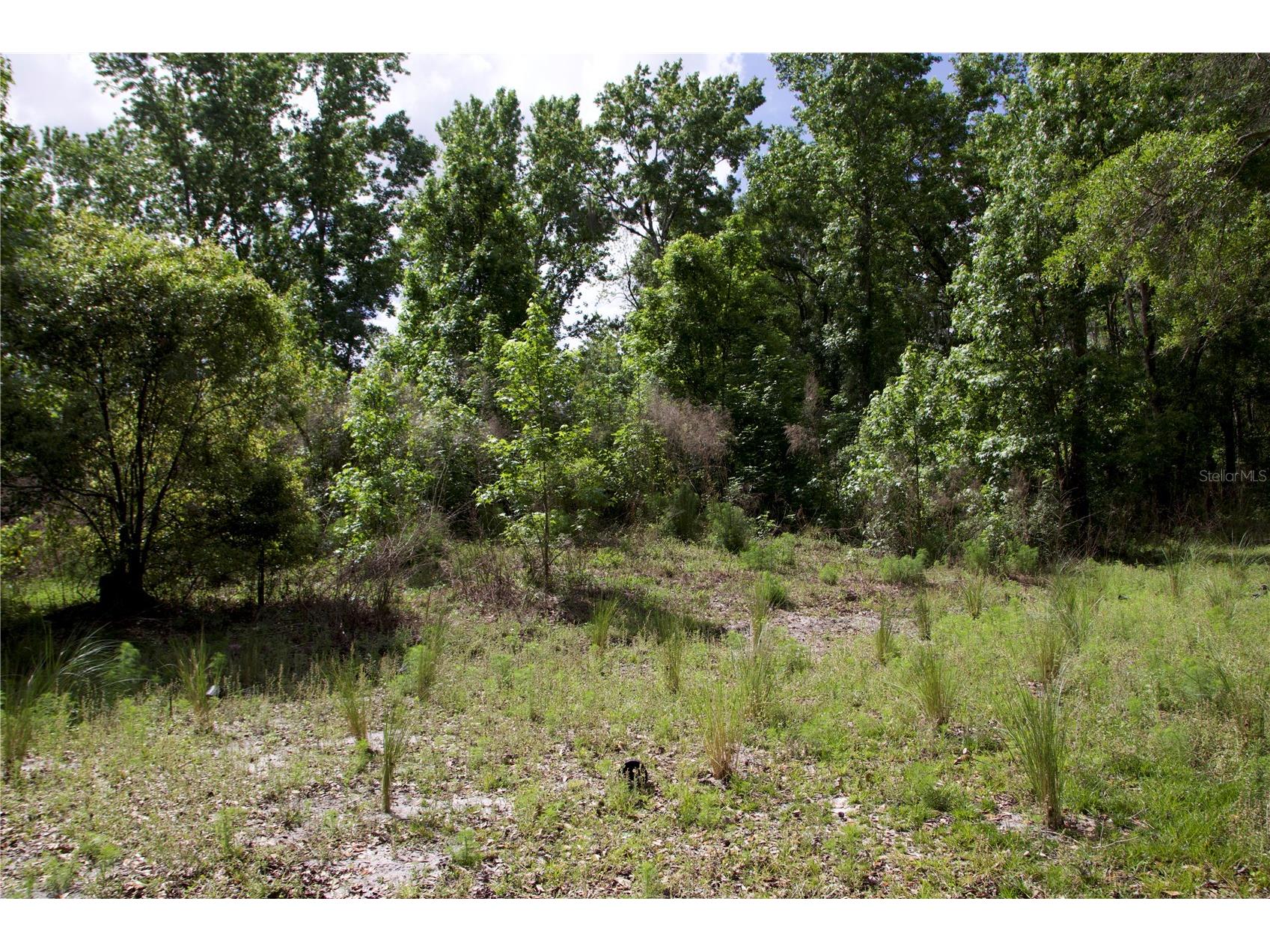 1920 10th Street Orlando FL 32820 O6396339 image13