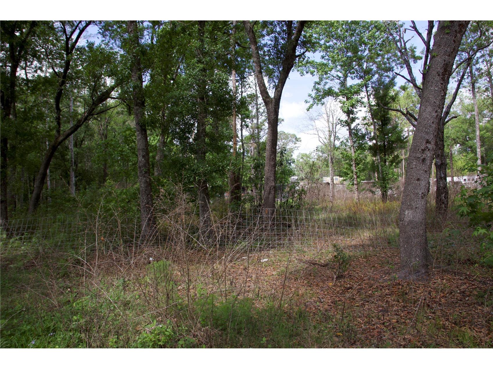 1920 10th Street Orlando FL 32820 O6396339 image14