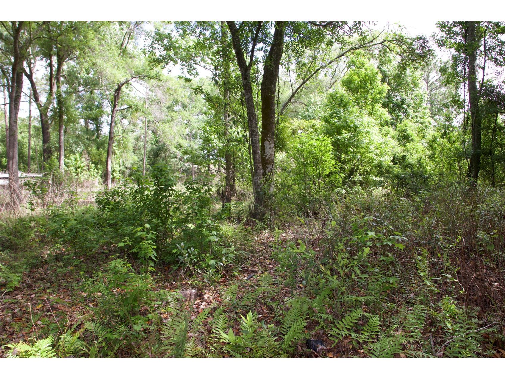 1920 10th Street Orlando FL 32820 O6396339 image17