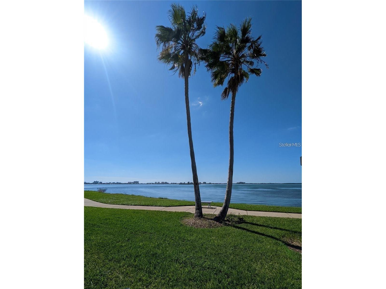 1920/1922 Springtime Avenue Clearwater FL 33755 TB8512833 image19