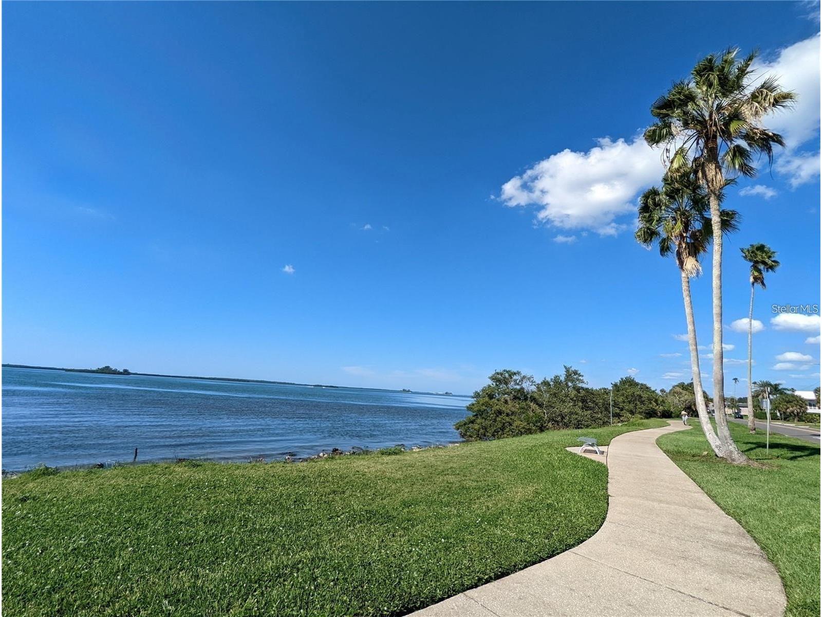 1920/1922 Springtime Avenue Clearwater FL 33755 TB8512833 image20