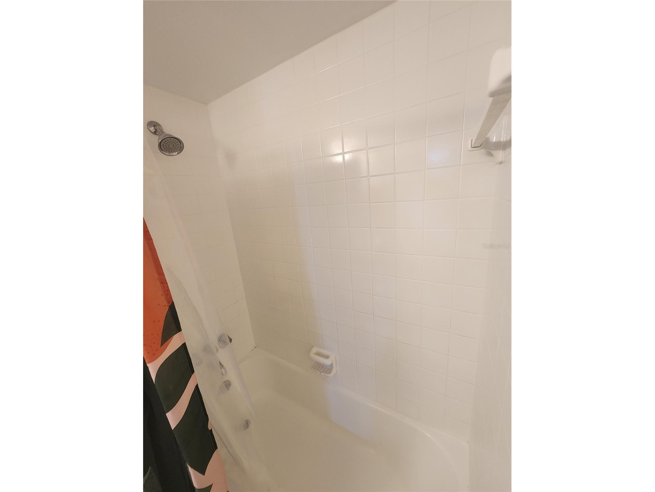 1920 E Edgewood Drive #D3 Lakeland FL 33803 TB8480615 image23