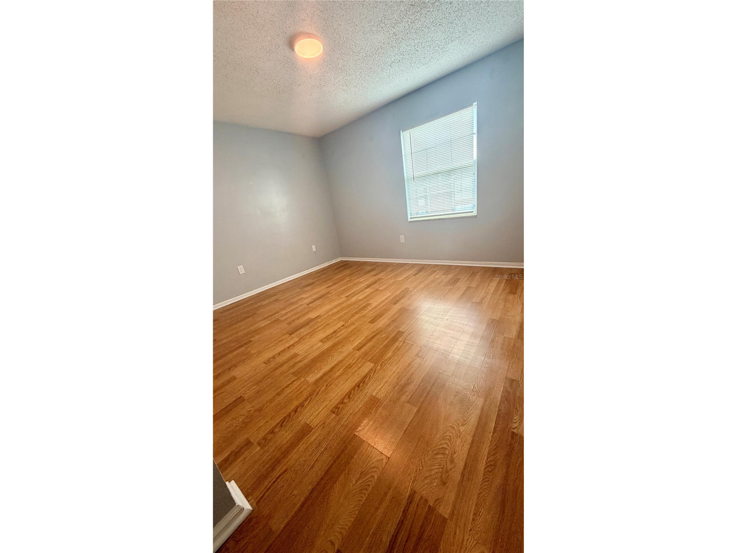 1920 E Edgewood Drive #I4 Lakeland FL 33803 TB8523461 image13
