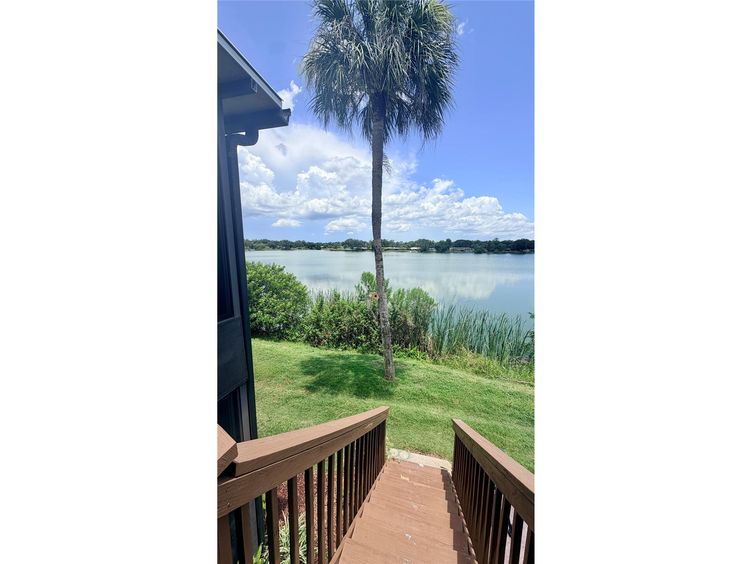 1920 E Edgewood Drive #I4 Lakeland FL 33803 TB8523461 image15