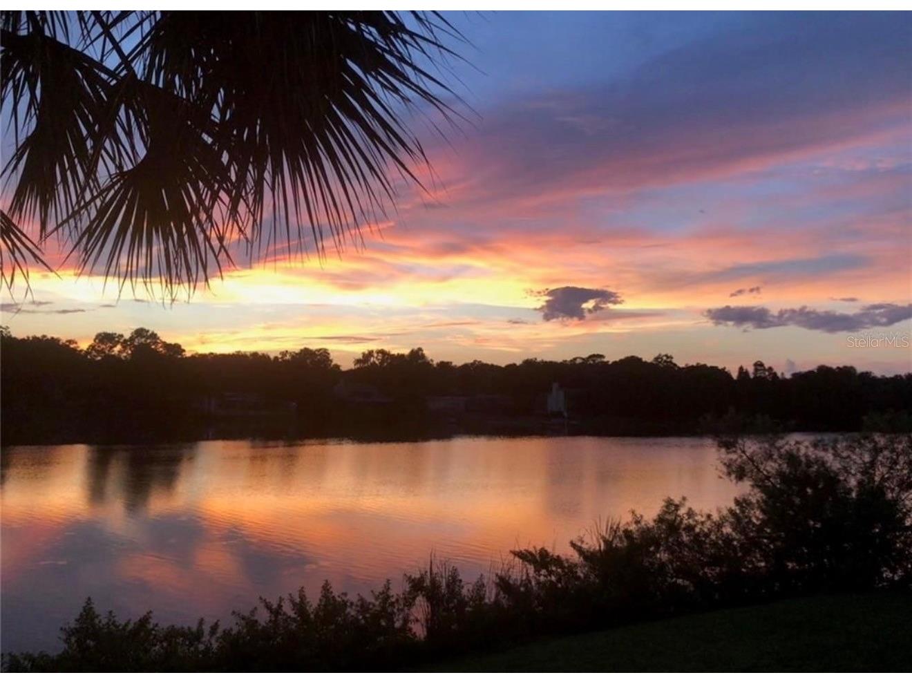 1920 E Edgewood Drive #I4 Lakeland FL 33803 TB8523461 image16